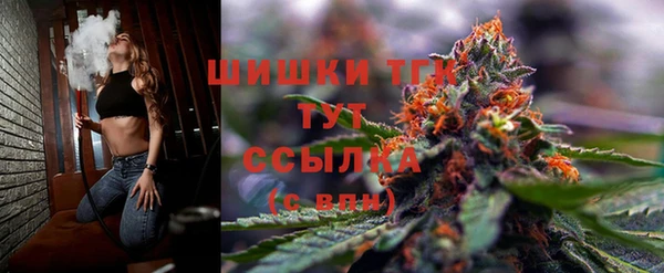 молекула духа Верхний Тагил